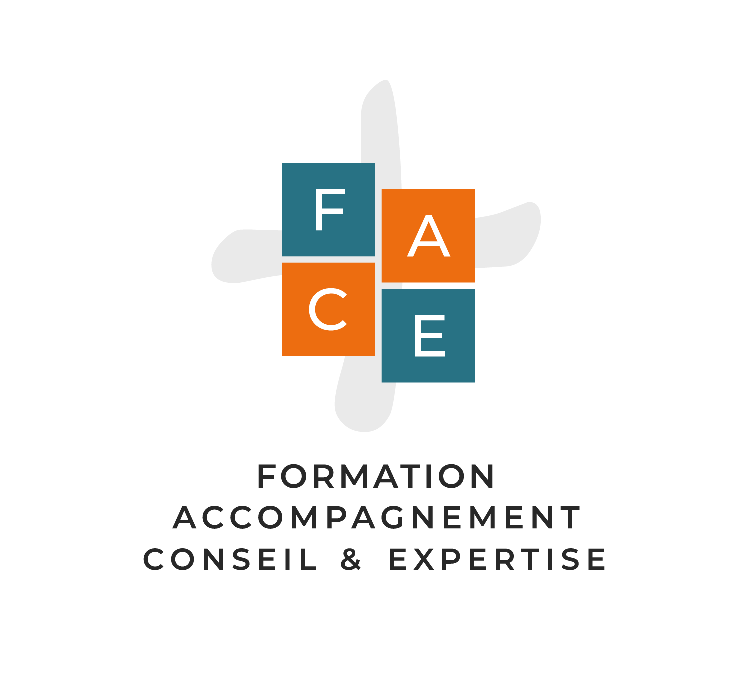 FACE Formation Coaching Expertise